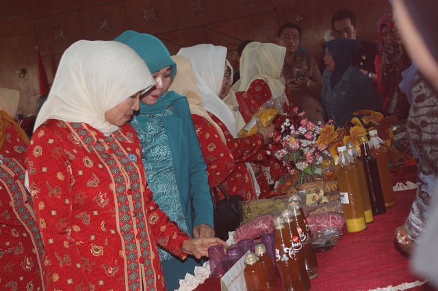 TP PKK Provinsi Berkunjung ke TP PKK Rejang Lebong