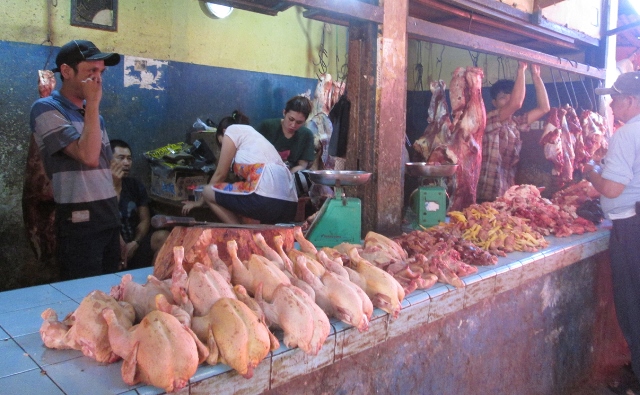 Harga Ayam Melambung di Rejang Lebong