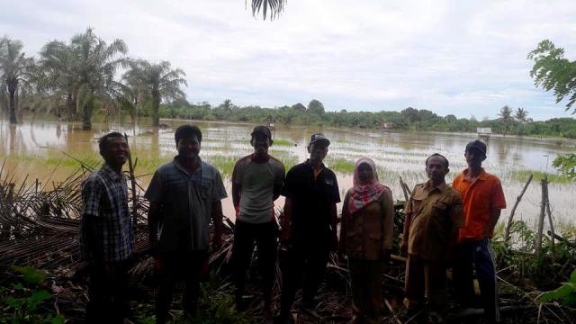 Distan Usulkan Bantuan, Untuk Petani Korban Banjir