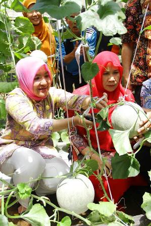 Agrosari Hidroponik Kandangmas Terima Bantuan Motor Sampah