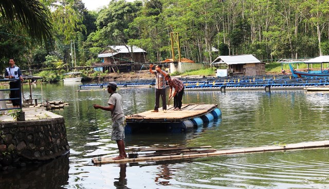 2 Tahun Danau Suro Tanpa Sentuhan Pemkab