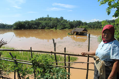 Sawah Banjir