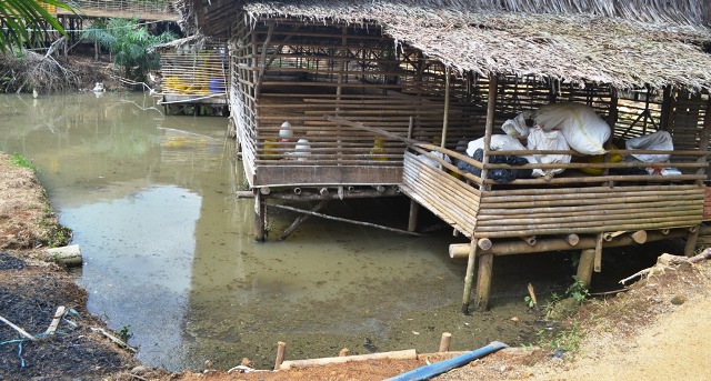 Peternakan Ayam Itu Tak Miliki TDPR