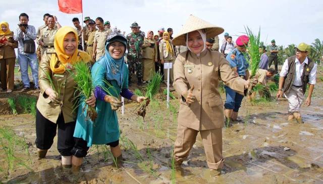 Sukseskan Produksi Beras, Wawali dan FKPD Tanam Padi Bersama