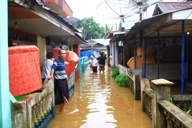 Kadishut Imbau Tanam Pohon