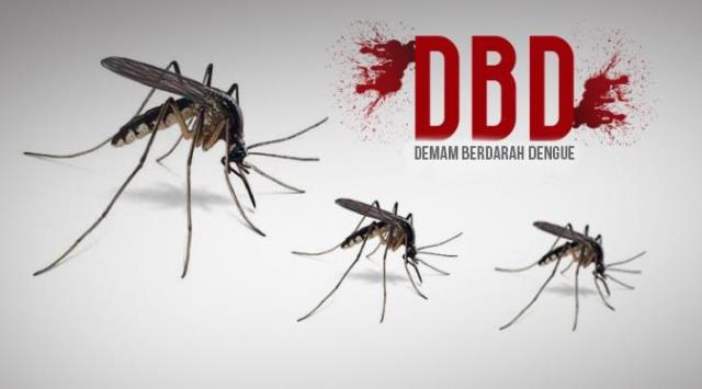 DBD di Bengkulu Kategori Luar Biasa