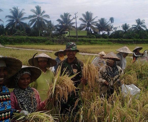 Dorong Panen Melimpah