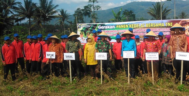 Produksi Kedelai di Rejang Lebong Meningkat