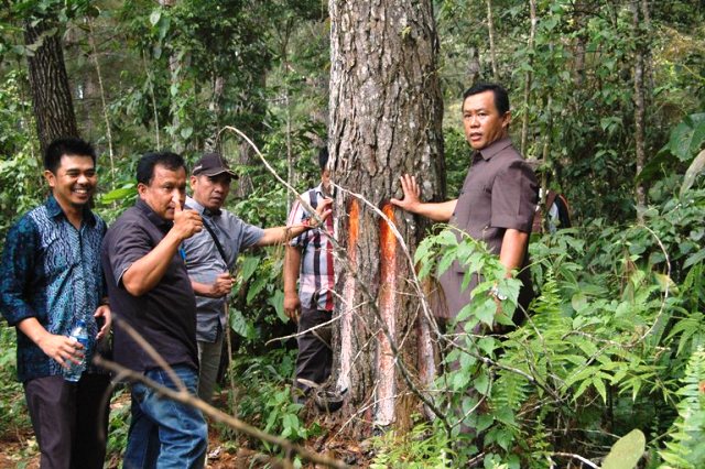 Kepahiang Terancam Longsor