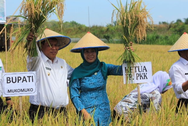 Bupati Mukomuko Perjuangkan KUR Petani