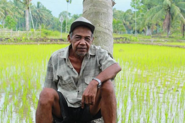 Keong Resahkan Petani