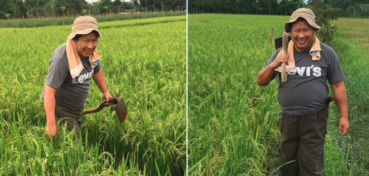 HEBOH: Mantan Kabareskrim Jadi Petani