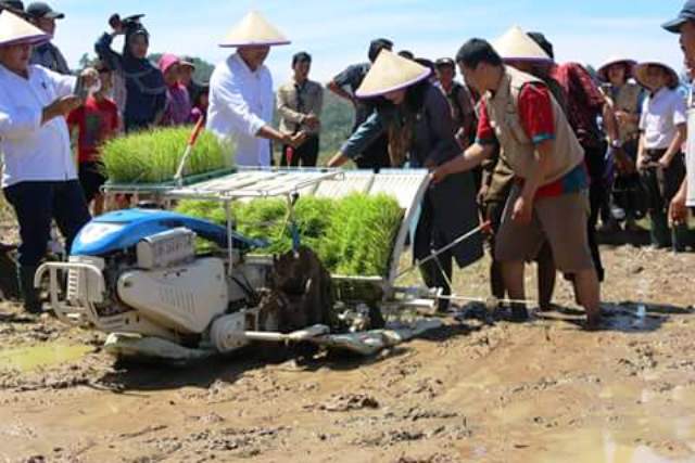 Tingkatkan Produktivitas Padi, Susi Marleny Bachsin Bantu Alat Pertanian