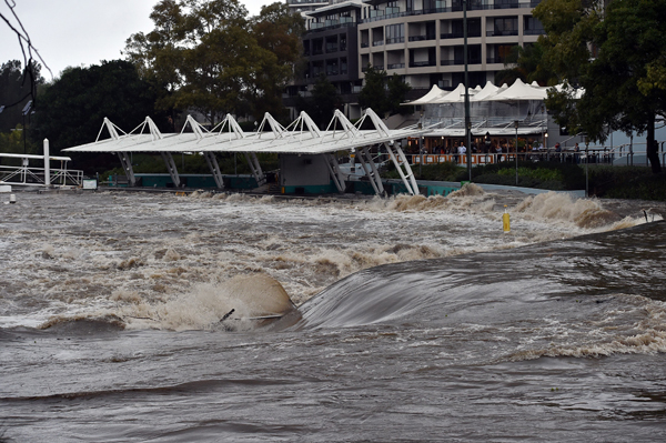 Sydney Porak-poranda, Pohon Tercabut, Banjir Menerjang