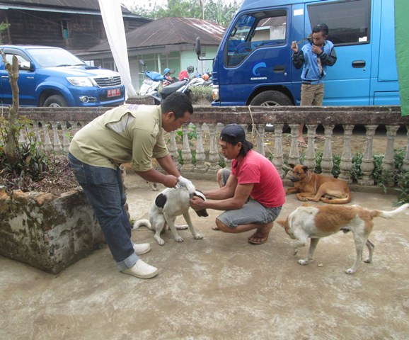 Baru 4 Kecamatan Divaksin Rabies