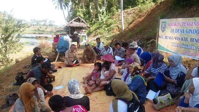 Sawah di 5 Kecamatan Diserang  Hama Tikus