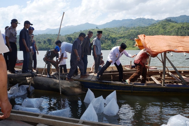 Jaga Ekosistem, Danau Tes Di-restocking