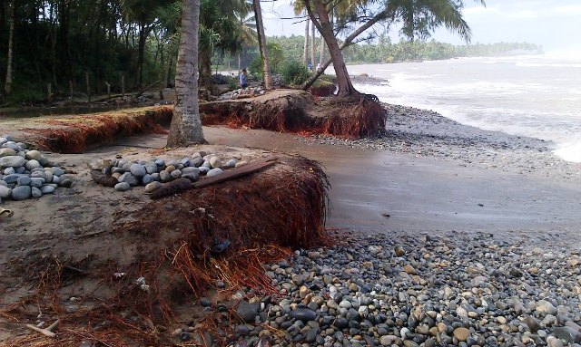 Abrasi Pantai  Makin Parah