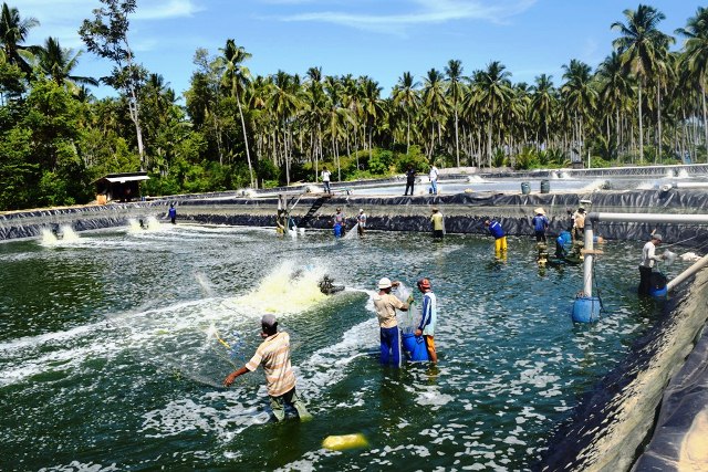 Limbah Udang Resahkan Warga