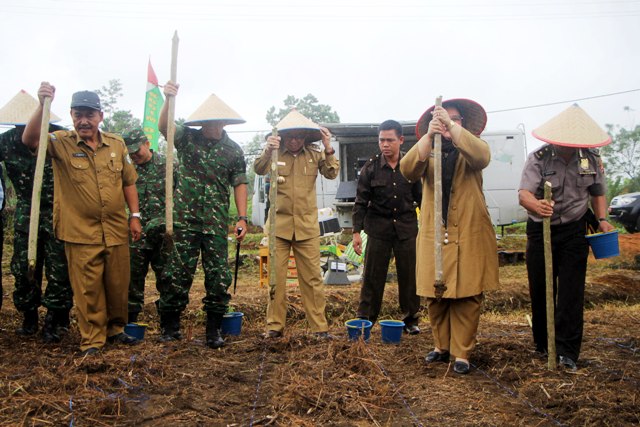 Produksi Jagung Digenjot