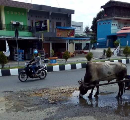 PDAM dan PU Dinilai Lamban