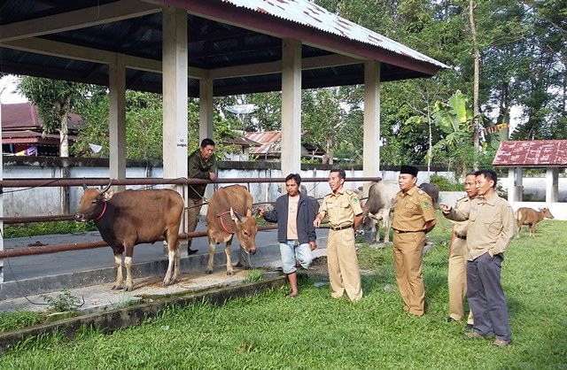 Hewan Kurban dari Luar Daerah