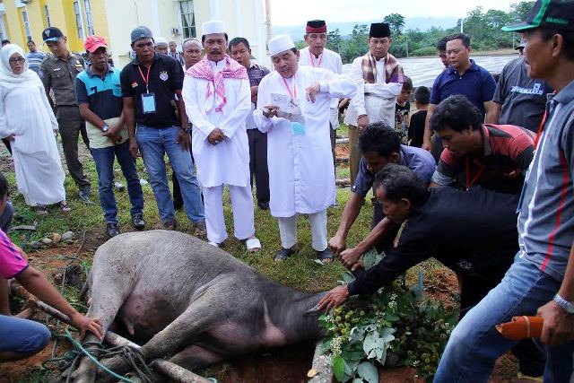 Bupati Bengkulu Tengah Ajak Teladani Nabi Ibrahim