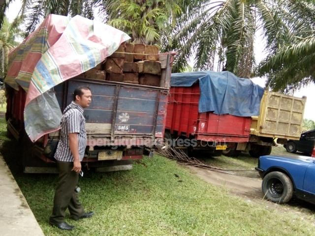 Tersangka Ilegal Logging Bertambah