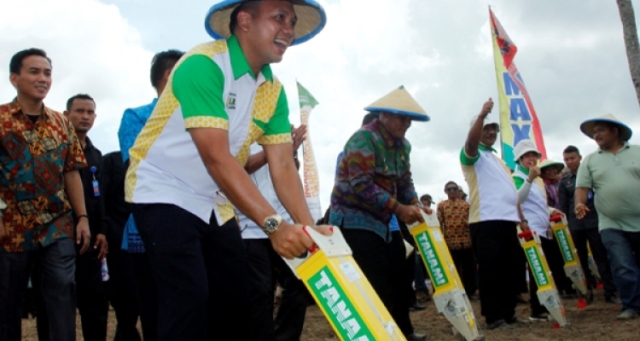 Gubernur Lampung Imbau Petani Tanam Jagung