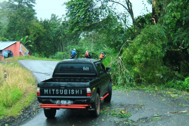 Dihantam Pohon, Kabel PT Telkom Putus