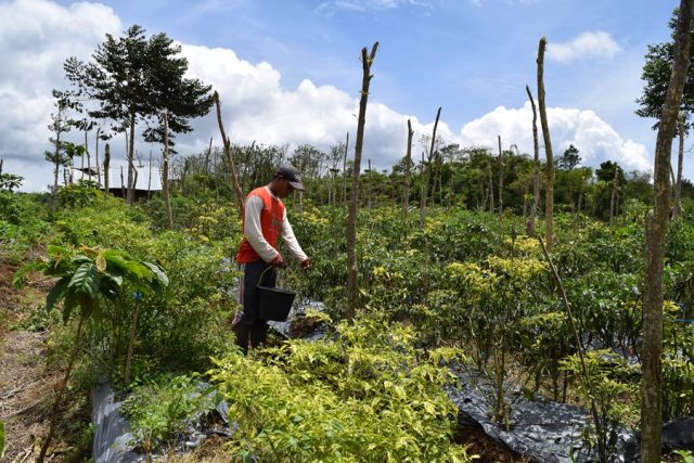 Ribuan Hektar Taman Wisata Alam Rusak Parah