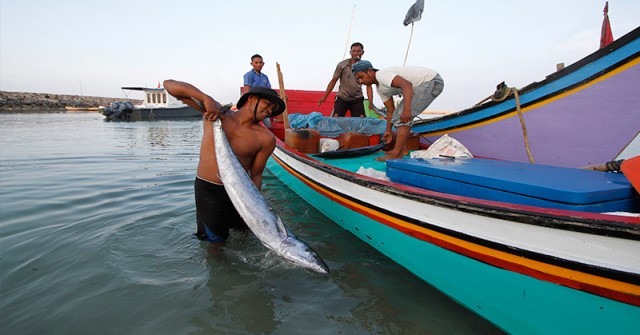 Nelayan Wajib Urus  Izin Tangkap Ikan