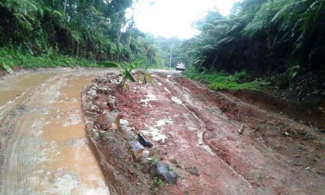 Jalan Provinsi Ditanami Pisang