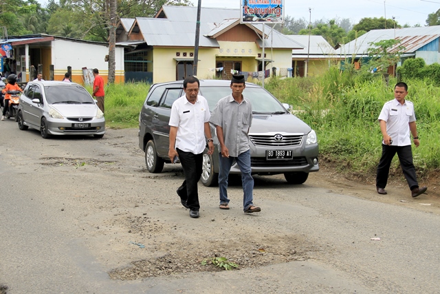 Plt Sekprov Tinjau Jalan Ditanami Pohon