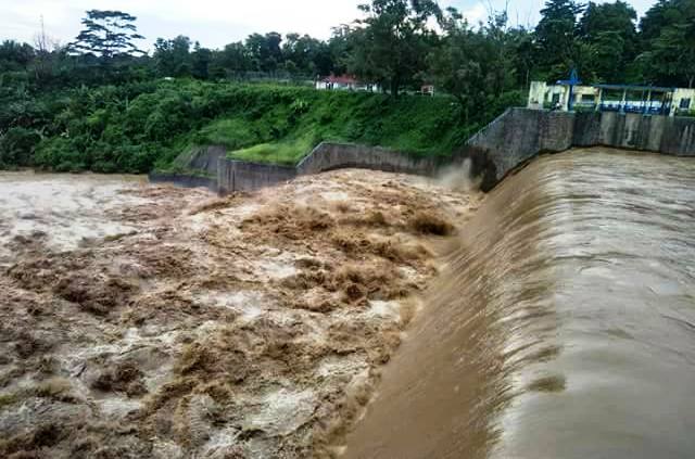 Waspada Sungai dan Pohon