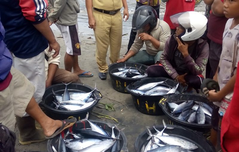 Produksi  Perikanan Turun