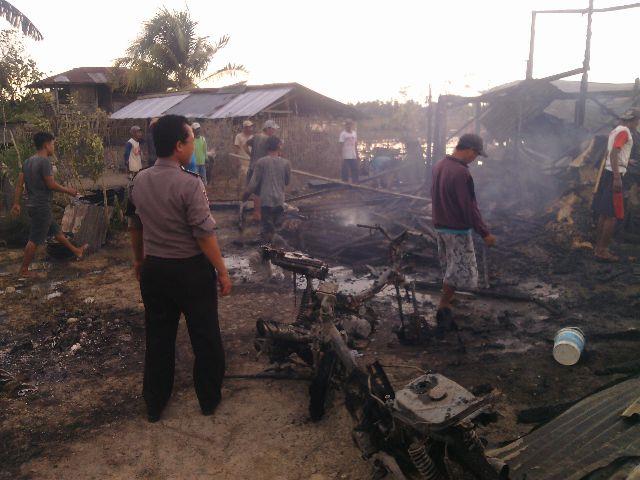 Penetasan Telor Itik Ludes