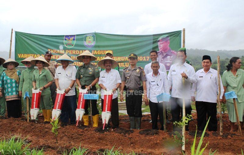 18 Ton Benih Jagung Segera Dibagikan