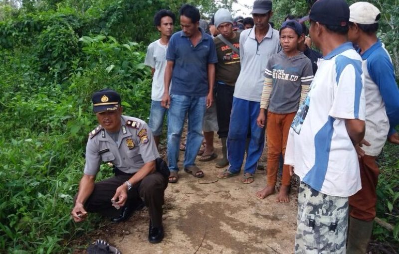 Laga Maut di Kebun Kopi, Tewas Dikeroyok 2 Saudara