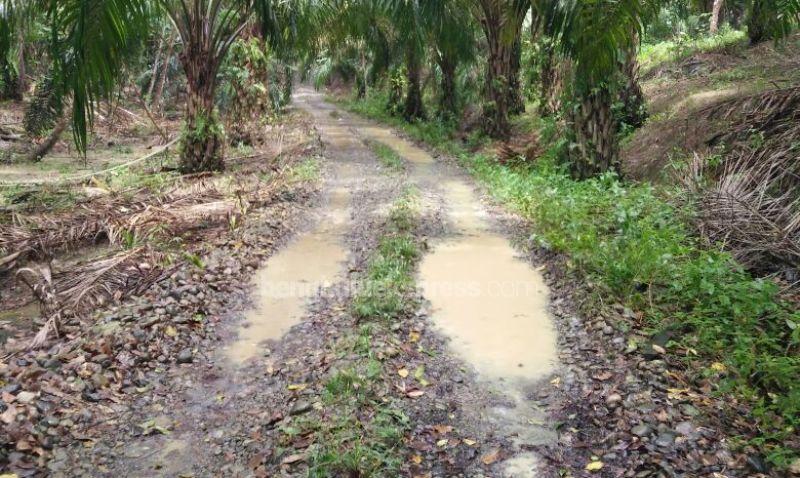 Jalan Tanah dan Licin