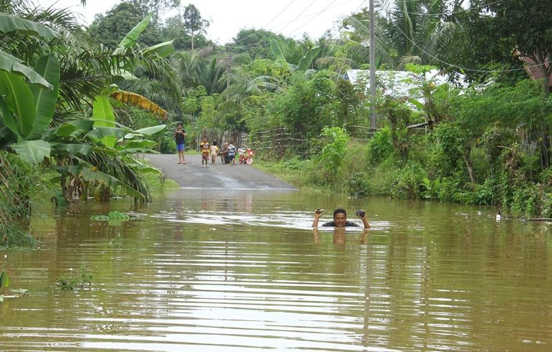 Bengkulu Dilanda Banjir, Ratusan Rumah, Jalan, dan Sawah Terendam