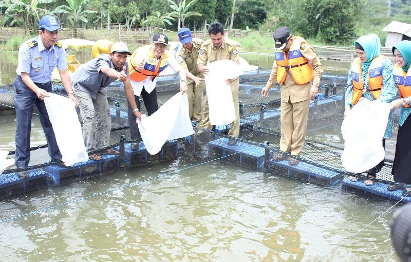 Serahkan 200 Ribu Bibit Ikan, DKP Provinsi Bantu 14 Poktan