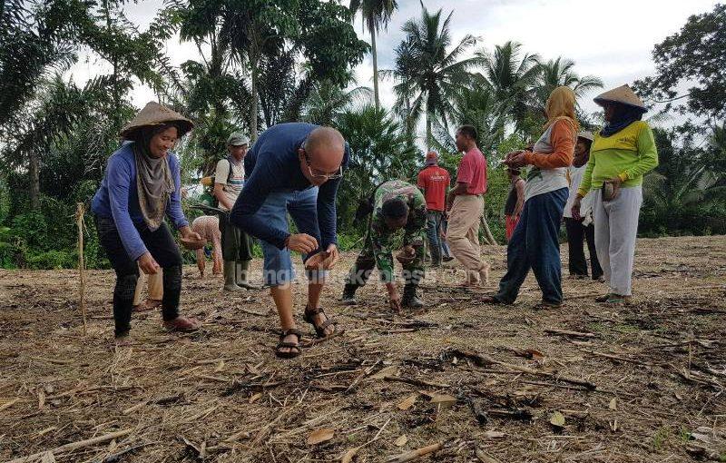 Bengkulu Selatan Ditarget Jadi Sentra Jagung