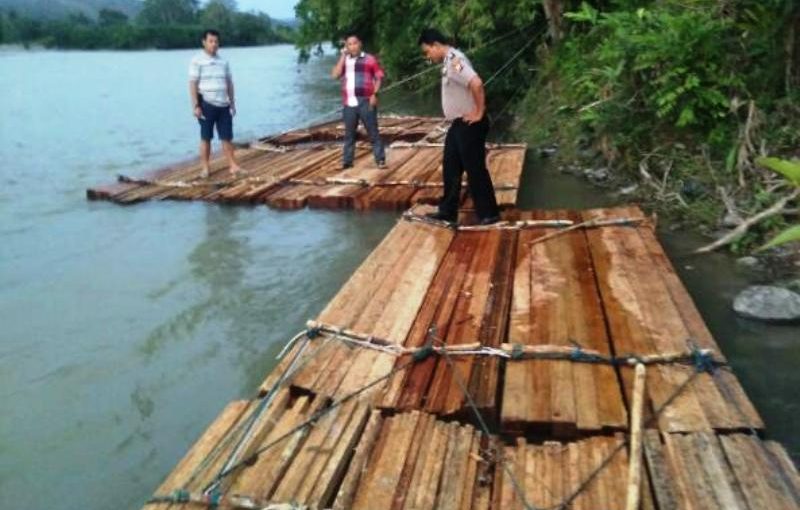 Polisi Amankan Kayu  Diduga Illegal Logging