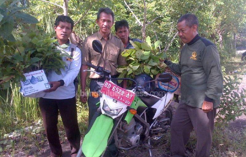 Jalan Ulu Manna Ditanami Pohon