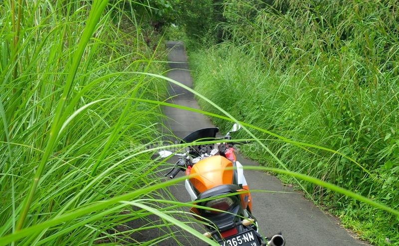 Jalan Penghubung Desa Dipenuhi Belukar