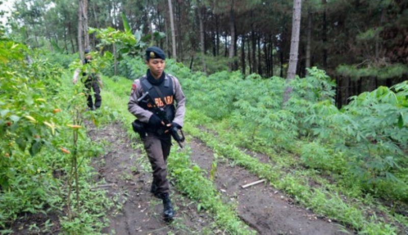 Tegang! Teroris Terkepung di Kebun Jagung, Akhirnya…