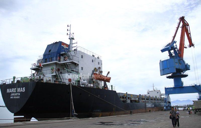Pelindo Datangkan Kapal Temas Line, Ongkos Angkut Peti Kemas Lebih Murah