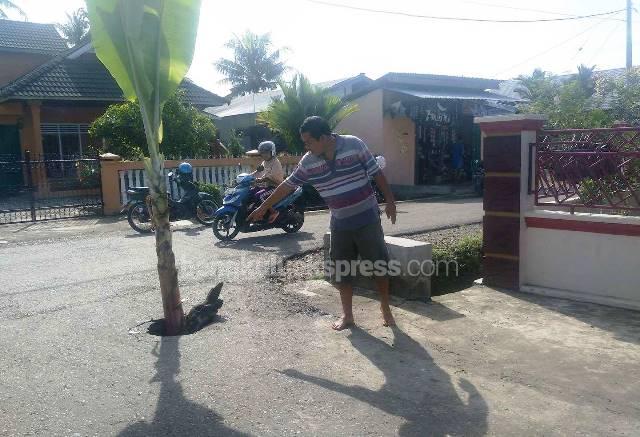 Jalan SDN 5 Bengkulu Selatan Ditanami Pisang