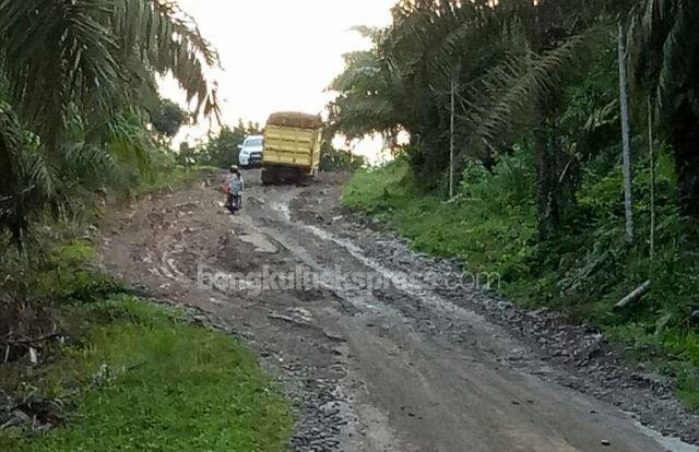 Jalan Desa Pondok Tengah Rusak Parah